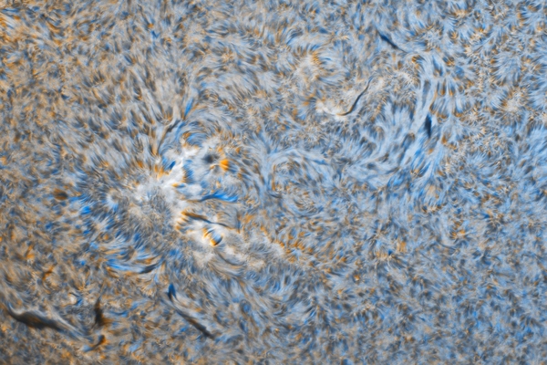 Magyar sikerek az AstroCamera 2025-ön