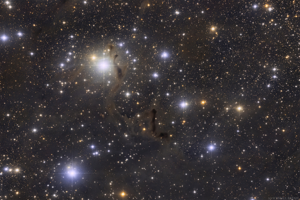 LDN 1355 - The Helping Hand Nebula