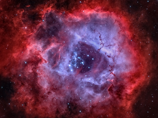 The Rosette Nebula