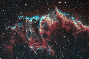 NGC 6995, a Denevér-köd