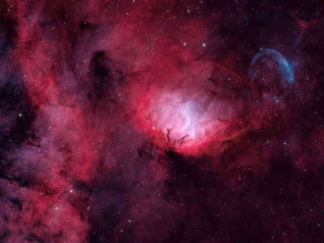 Tulipán-köd és a Cygnus X-1 fekete lyuk