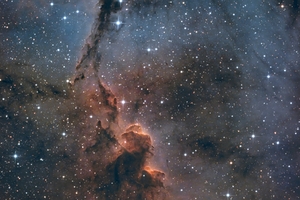 IC 1396 Elefántormány-köd