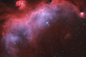 Sirály-köd (IC 2177)