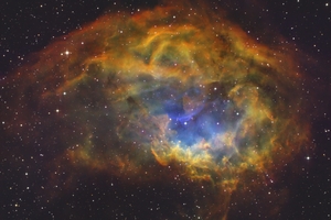 Sh2-261 - Lower-köd