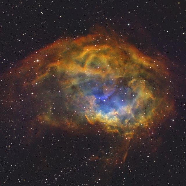 Sh2-261 - Lower-köd