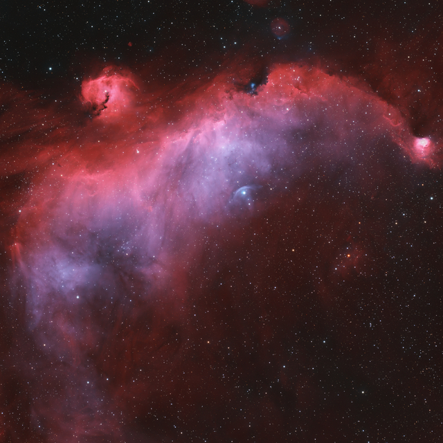 Sirály-köd (IC 2177)