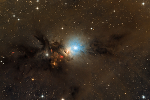 NGC-1333