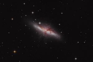 Sülysápi M82