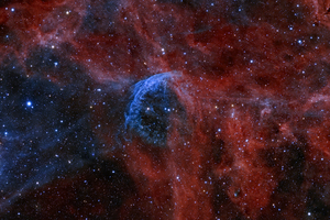 Wolf-Rayet 134 (WR 134) 