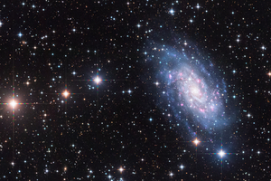 NGC2403