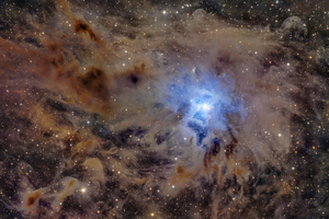 Iris - The Neverending Story