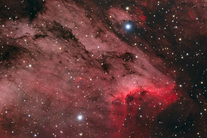 IC5070 - A Pelikán-köd