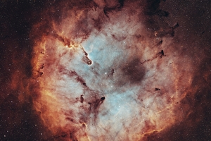 IC1396 - Elefántormány köd