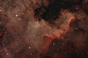 Cygnus Wall