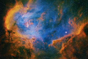IC 2944 Futócsirke-köd crop