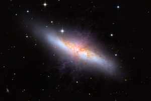 M 82 Sülysáp