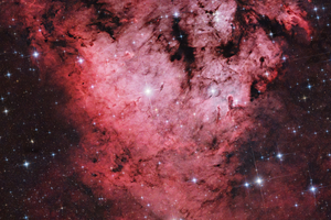 NGC 7822 - Ördögfej-köd