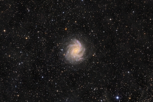 Tűzijáték galaxis (NGC 6946)
