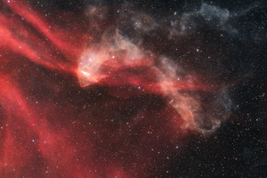 LBN 437 - Gecko-köd