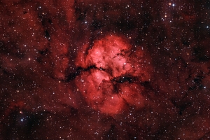 SH2-124 v2
