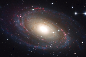 M81