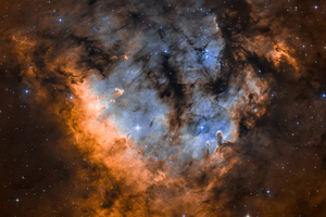 NGC7822 - Firstlight