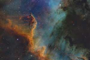 Cygnus Fal