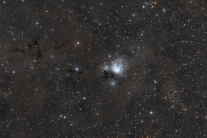 NGC 7129 - Égi rózsabimbó - Cepheus