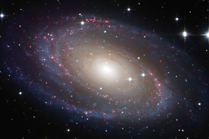 M81