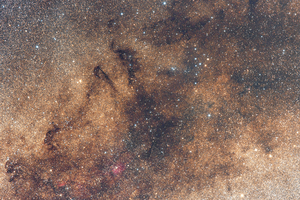 A Vállfa-halmaz (Collinder 399) és környezete