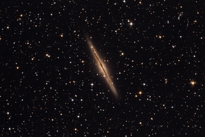 NGC 891