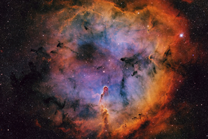 Elefántormány-köd (IC1396)