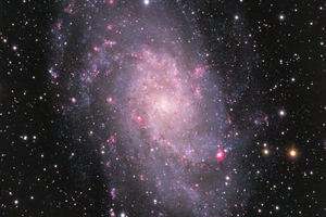 M33
