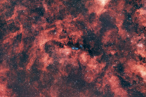 Hattyú csillagkép -- NGC6910 és NGC6914