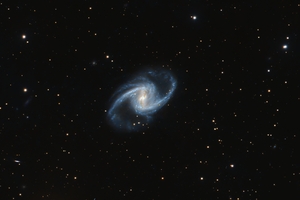 NGC 1365 crop