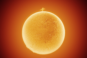 H-alfa Nap - Szavannafa