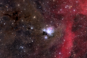 Kozmikus rózsabimbó (NGC7129) a Cepheusban