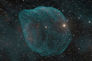 SH2-308 Dolphin-Head Nebula