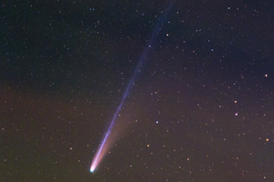 Látogató a Bjelašnica fölött