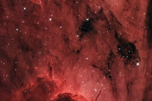 Pelikán-köd