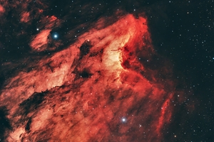 Pelikan nebula