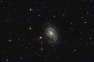 Ngc 772