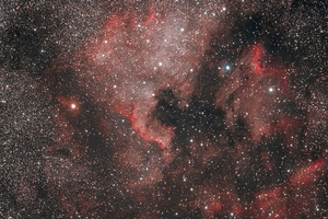 Cygnus részlet -NGC7000 - IC5067 - IC5070 - csillagkicsinyítéssel