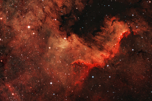 Cygnus Wall