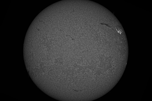 X4-es fler H bétában