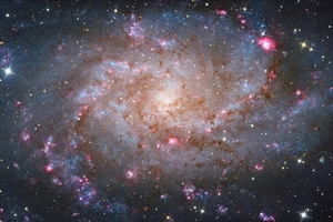 M33