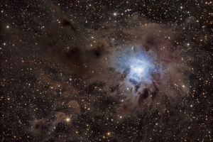 Iris - The Neverending Story