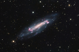 Ngc4236