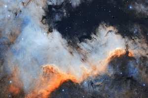 Cygnus Wall