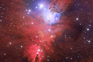 NGC 2264 - Kúp-köd és a Karácsonyfa-halmaz
